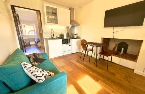 Saint-Etienne Apartment | Le bijou des carmes - Haut de gamme climatisé