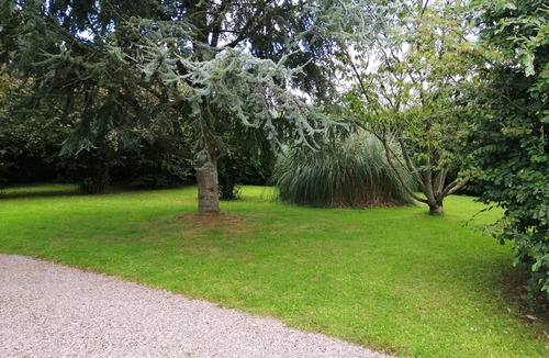 Matignon House | Le Gwez cottage - idyllic place near Matignon (2 km)