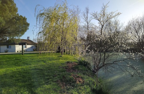 Saint-Hilaire-de-Riez House | Lovely Bourrine Vendéenne in its own green setting.