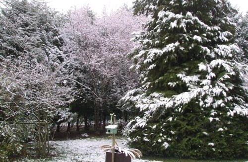 Chateauvieux House | Maison 8 min du Zoo de Beauval, jardin, cheminée, tout inclus, proche Châteaux de la Loire - FR-1-491-429