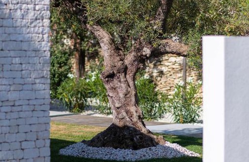 Bonifacio Villa | Maison d’exception dans les vignes à 5mn à pied de la plage Bonifacio