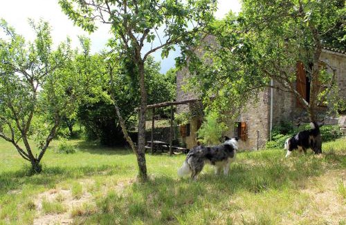 Tournemire House | Maison de Vignes de Tournemire