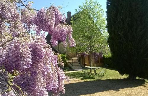 Daglan House | Maison Périgourdine avec piscine, WiFi, animaux acceptés - FR-1-616-77