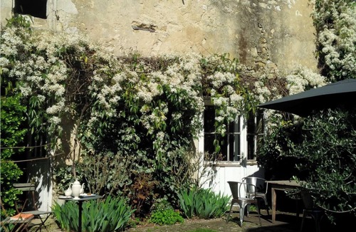Vertheuil House | Manoir between wine and ocean, sleeps 6, village square in hamlet. Peace, nature.