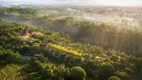 Peliatan Resort | Maya Ubud Resort & Spa