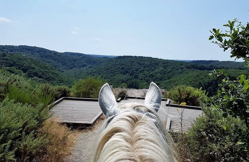 Notre-Dame-du-Rocher House | Mobile home at the Equestrian Center