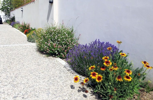 La Flotte Apartment | Nice apartment for 4 guests with WIFI, TV and terrace