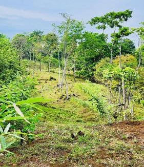 Bijagua Villa | Private rainforest villa up to 8 guests w jacuzzi near Rio Celeste
