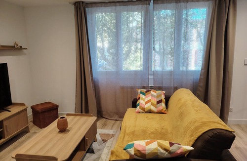 Saint-Roch - Badouillere - Chavanelle Apartment | Saint Etienne - Lovely, warm and cosy apartment