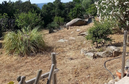 Sartene House | Serragia Rocapina: House with garden