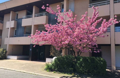 Ferney-Voltaire Apartment | Soundproof Studio | Airport (10min) & UN (20min)