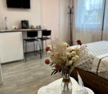 Nogent-l'Artaud Apartment | Studio Millésime
