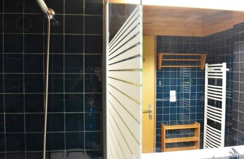 Meribel Centre Apartment | Studio Montagne 6 Pers, Méribel Centre, Proche Commerces et Pistes - FR-1-180-118