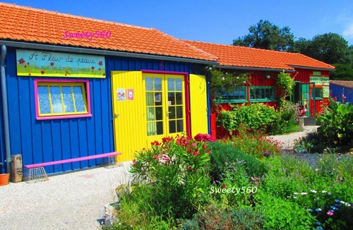 Saint-Pierre-d'Oleron Apartment | Studio - Saint Pièrre d'Oléron