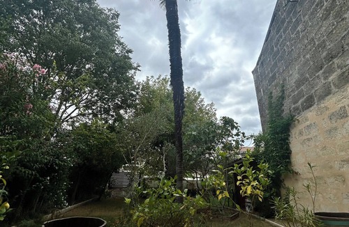 Saint Jean Station District Apartment | T2 DUPLEX 3RB Duplex apartment with garden terrace