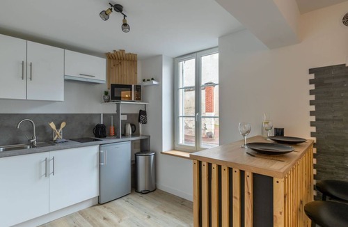 Romorantin-Lanthenay Apartment | The Platanes Apartments 1 : Castles and Beauval