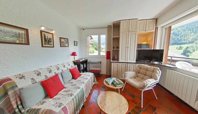 3-room apartment, sleeps 6, Grand Bornand
