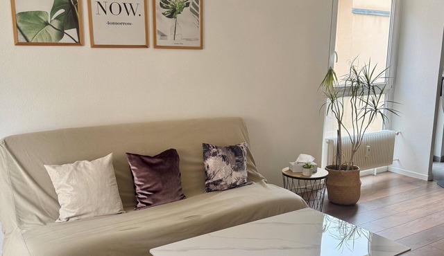 Appartement Vauban - Near Basel