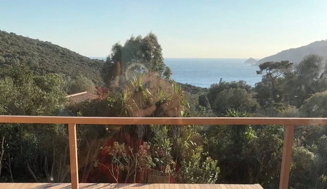 Chambre vue mer terrasse végétation sculpturale Île du Levant naturisme