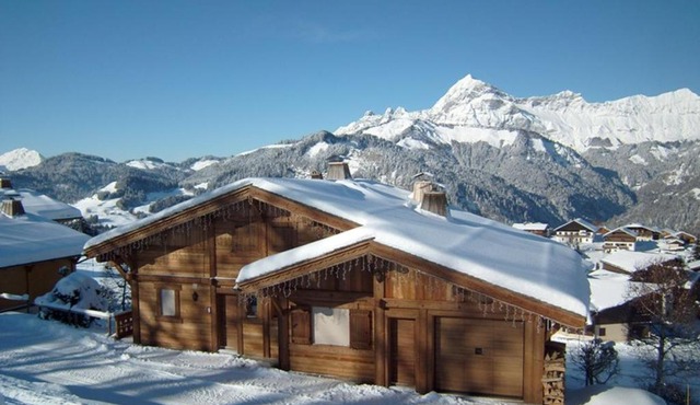 Confortable chalet 12 personnes avec WiFi et parking, près des pistes - FR-1-733-25