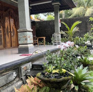 Cucu House