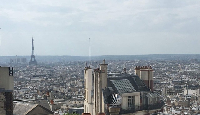 Loft with Tour de France Views. Paris Hilltop Montmartre, Artist Loft.
