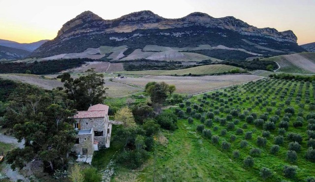 MULINU BIANCU