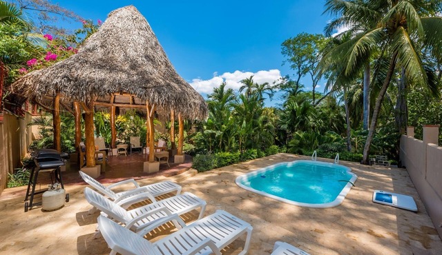 Private Topical oasis, Petfriendly Home, Only steps from Tamarindo Beach.