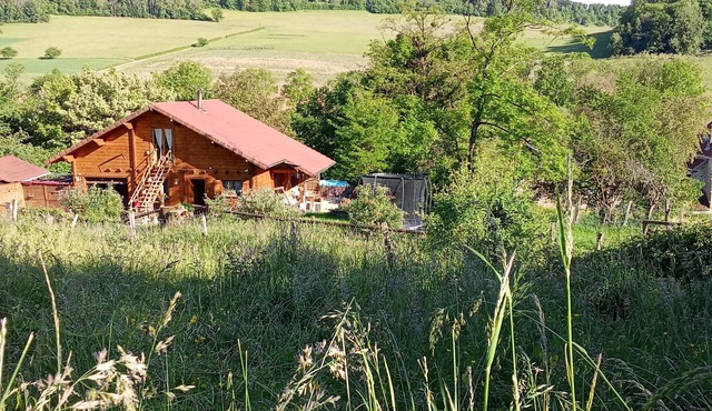 Small studio, netflix, terrace in the middle of nature, swimming pool ✨animals accepted