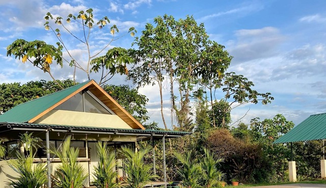 Stunning accommodation with pool