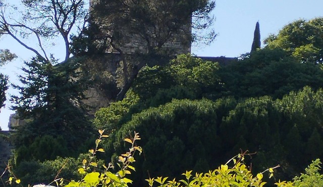 The Castle