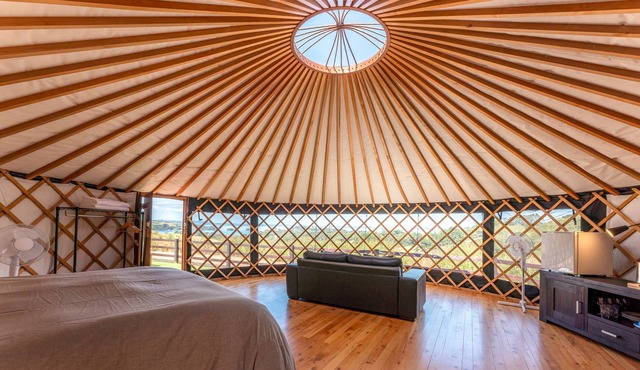The Terraces - Tane Yurt - Stay Waiheke