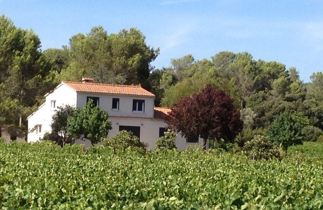 Loubiere 