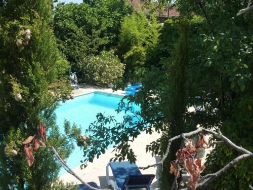 Holiday Courry Swimming 