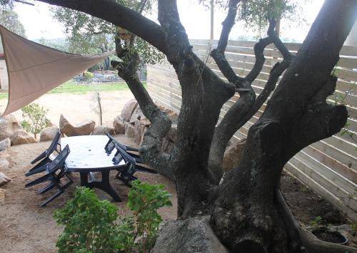 Monacia-d'Aullene Bed & Breakfast | 30 m² Bed and breakfast ∙ 4 guests