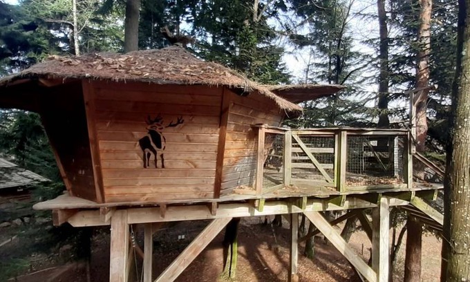 Saint-Julien-Labrousse Other | Camping ∙ 1 bedroom ∙ 3 guests