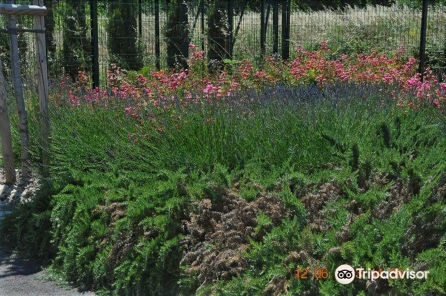 Photo of Outdoor in Istres