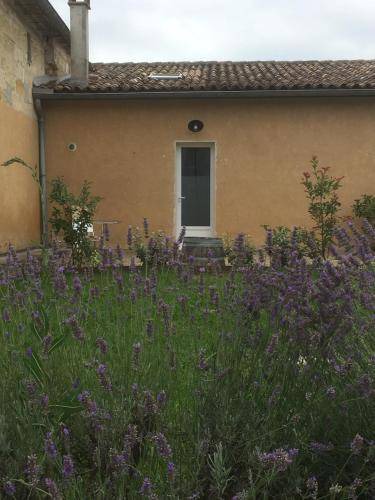 Photo of Others in Savignac-de-l'Isle