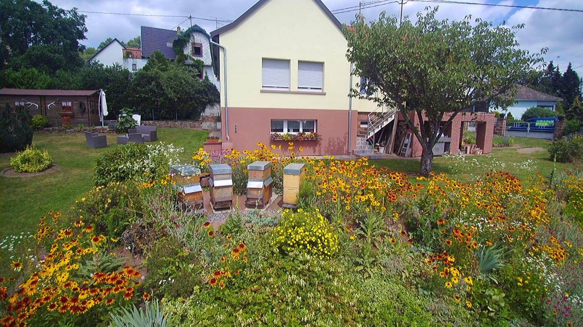 Photo of Others in Lichtenberg