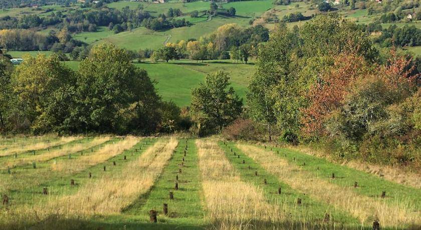 Photo of Outdoor in Coubjours