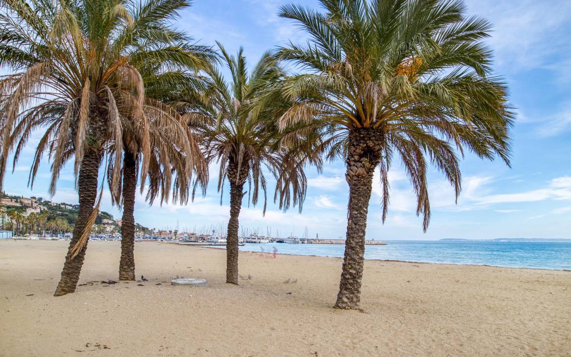 Photo of Others in Le Lavandou