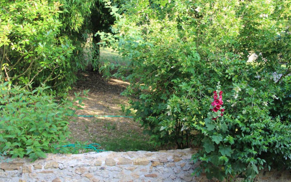 Photo of Others in Cheille