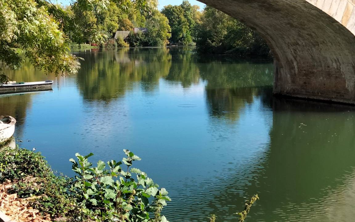 Photo of Others in Bazouges-sur-le-Loir