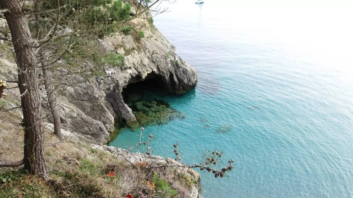 Photo of Others in Telgruc-sur-Mer