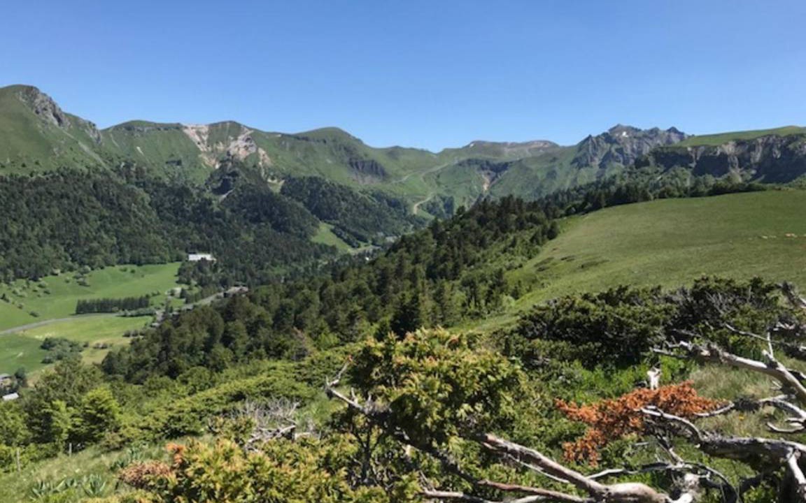Photo of Others in Mont-Dore