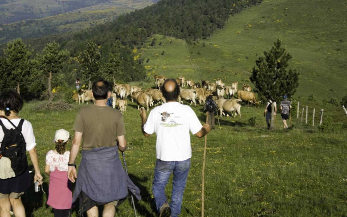 Photo of Others in Prats-de-Mollo-la-Preste