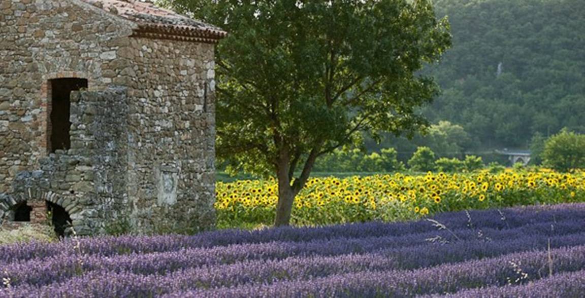 Photo of Others in Rousset-les-Vignes