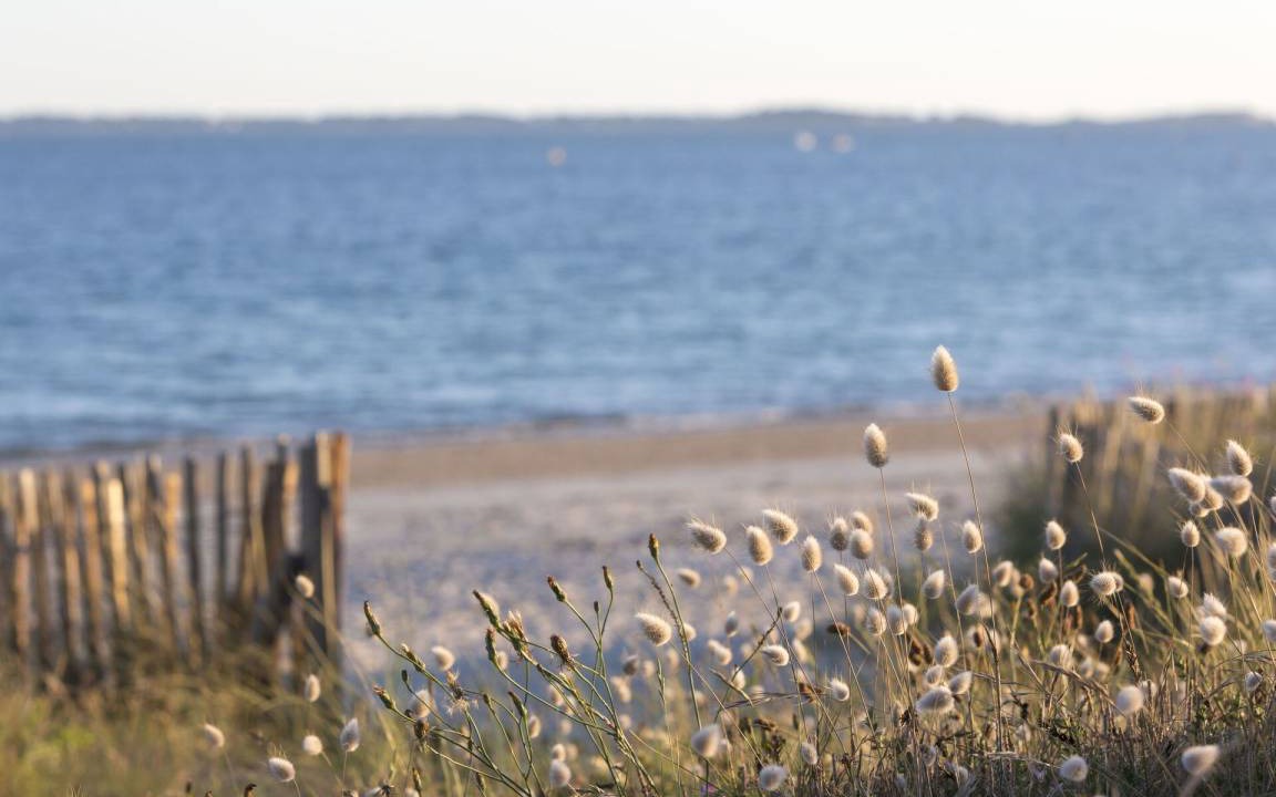 Photo of Others in Carnac