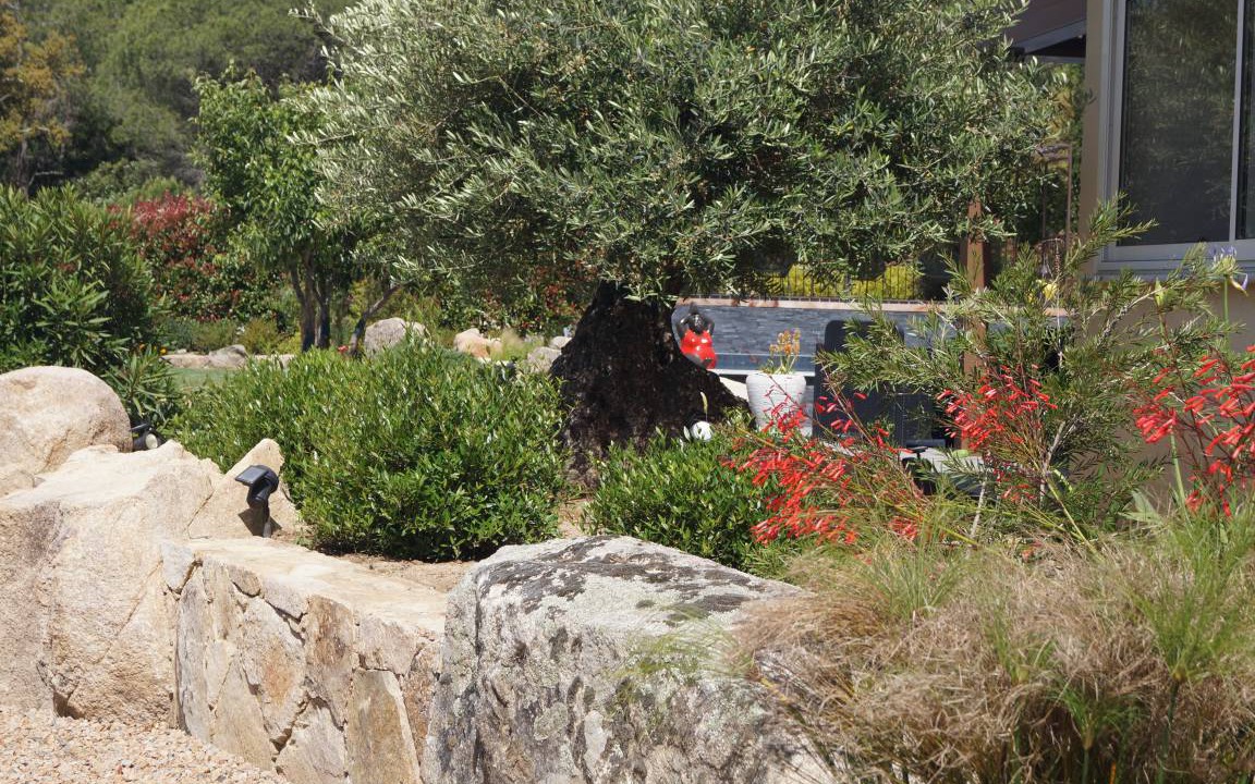 Photo of Others in Santa Giulia