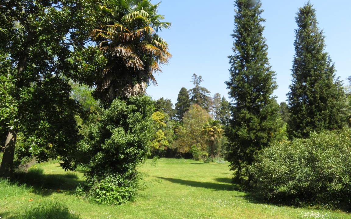 Photo of Others in Bram